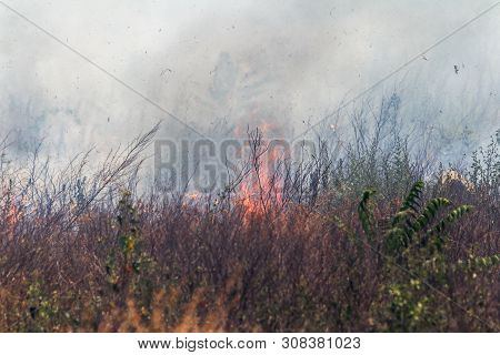 Strong Smoke In Steppe. Forest And Steppe Fires Destroy Fields And Steppes During Severe Droughts. F