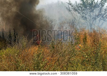 Strong Smoke In Steppe. Forest And Steppe Fires Destroy Fields And Steppes During Severe Droughts. F