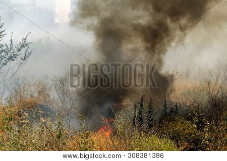 Strong Smoke In Steppe. Forest And Steppe Fires Destroy Fields And Steppes During Severe Droughts. F