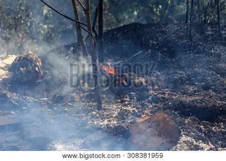 Strong Smoke In Steppe. Forest And Steppe Fires Destroy Fields And Steppes During Severe Droughts. F
