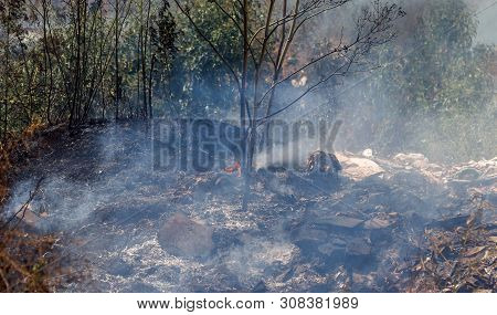 Strong Smoke In Steppe. Forest And Steppe Fires Destroy Fields And Steppes During Severe Droughts. F