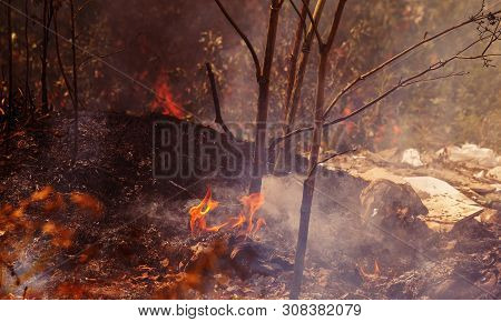 Strong Smoke In Steppe. Forest And Steppe Fires Destroy Fields And Steppes During Severe Droughts. F