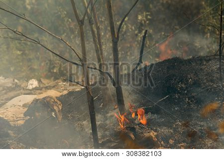 Strong Smoke In Steppe. Forest And Steppe Fires Destroy Fields And Steppes During Severe Droughts. F