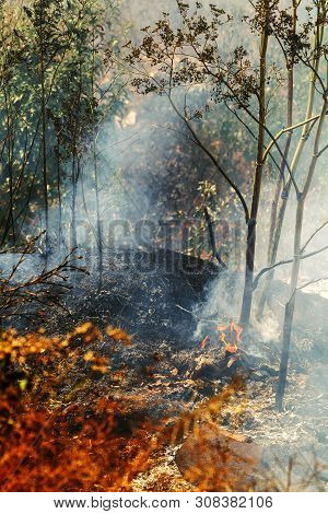Strong Smoke In Steppe. Forest And Steppe Fires Destroy Fields And Steppes During Severe Droughts. F