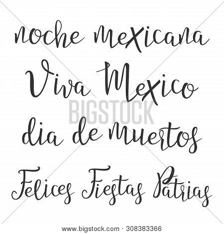 Funny Modern Calligraphy Of Hispanic Word . Stylish Typography Inscription With Different Handwritte