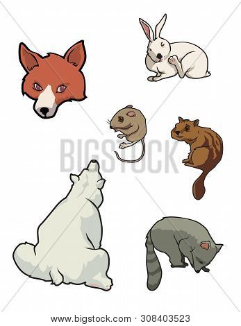 Cartoon Vector Illustration Of North American Zoo Mammals