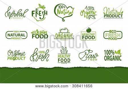 Fresh Meal And Organic Ecology Cleen Products Vector, Logotypes With Foliage And Leaves, Inscription
