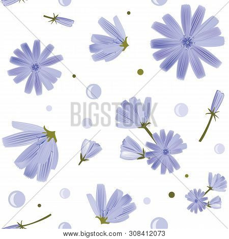 Floral Seamless Pattern With Chicory Flowers On White Background. Cute Blue Flowers. Design Element 
