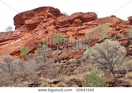 Kings Canyon