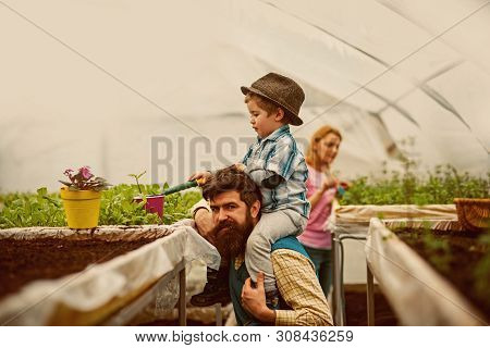 Greenhouse Hobby. Greenhouse Hobby Of Happy Family. People Have Hobby In Greenhouse. Greenhouse Hobb