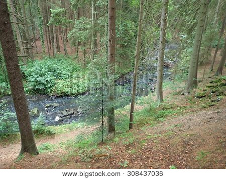 Beautiful Valley Of Wild Doubrava River In Bohemian Highlands In Checz Republic