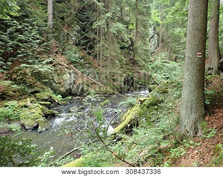 Beautiful Valley Of Wild Doubrava River In Bohemian Highlands In Checz Republic