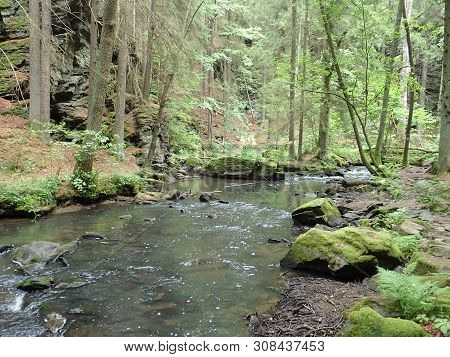 Beautiful Valley Of Wild Doubrava River In Bohemian Highlands In Checz Republic