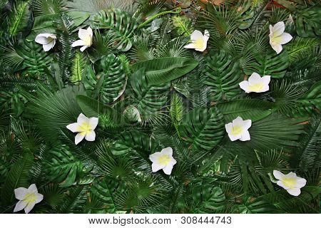Imitation Of The Natural Background Of Frangipani Flowers And Different Tropical Leaves.