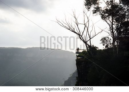 View To Spooners Lookout With Leafless Tree At The Three Sisters In The Blue Mountains With Backligh