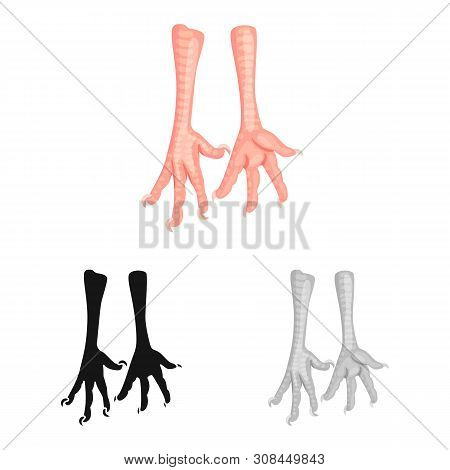 Isolated Object Of Paws And Chicken Icon. Collection Of Paws And Leg Vector Icon For Stock.