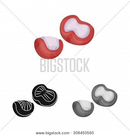 Vector Design Of Chicken And Navels Logo. Set Of Chicken And Farm Stock Vector Illustration.