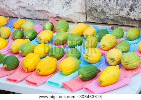 Jewish Festival Of Sukkot. Traditional Market Before The Holiday Of Sukkot.etrog Yellow Citron Tradi