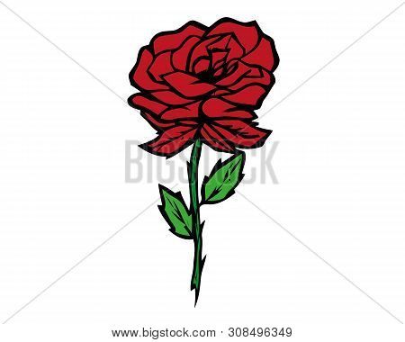 Deep Red, Ruby Rose Flower With Green Leaves, Sketch Style Vector Illustration Isolated On White Bac