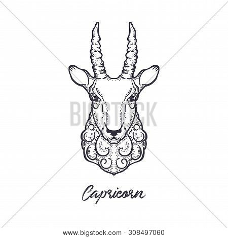 Capricorn Zodiac Sign. The Symbol Of The Astrological Horoscope. Hand-drawn Illustration.