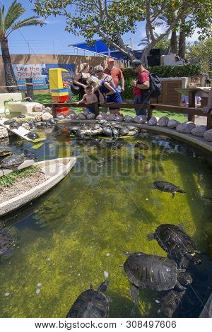 Visitors Watching Turtles Pond Marineland