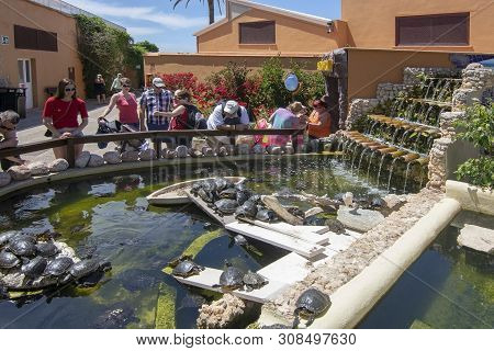 Visitors Watching Turtles Pond Marineland