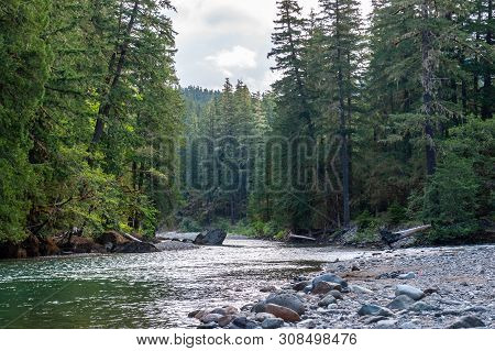 Impression Of The Cowlitz River In Washington State, Near The La Wiz Wiz Campground.