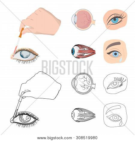 Vector Illustration Of Medical And Eyeball Icon. Set Of Medical And Optical Stock Vector Illustratio