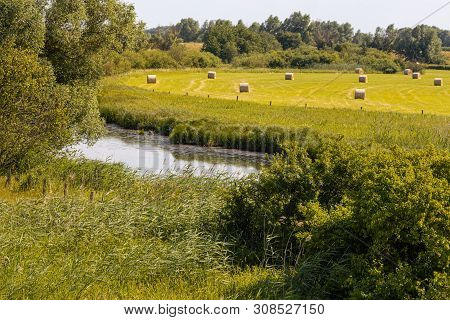 Hay Harvest In Unesco Biosphere Reserve River Landscape Elbe, Boizenburg, Germany.
