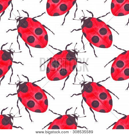 Watercolor Ladybug Seamless Pattern On White Background Insect Beetle Red Bright Ladybird Lady-beetl