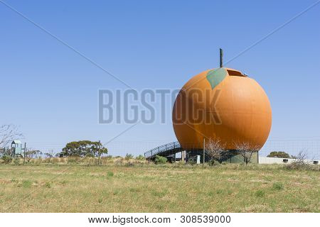 Berri, South Australia - January 12, 2019: Big Orange Is 15 Metres In Height And A Diameter Of 12 Me