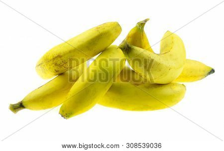 Ripe Gros Michel Banana Isolated On White Background, Krua Hom Thong Plants Grown In Thailand