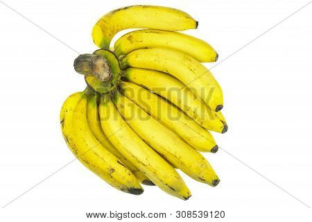 Ripe Gros Michel Banana Isolated On White Background, Krua Hom Thong Plants Grown In Thailand