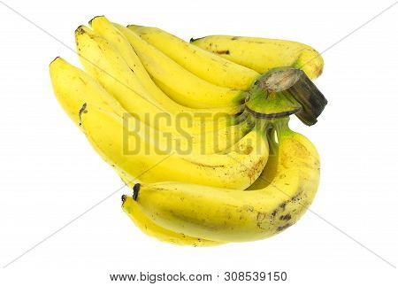 Ripe Gros Michel Banana Isolated On White Background, Krua Hom Thong Plants Grown In Thailand
