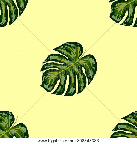 Tropical Pattern. Seamless Texture With Bright Hand Drawn Leaves Of Monstera.