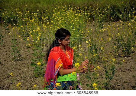 Close Up Of A Teenage Indian Girl Wearing Salwar Kameez And Dhupatta/cloth Sitting In A Beautiful Ye