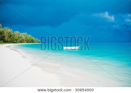 Wüste Insel Strand