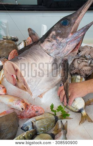 Various Fresh Seafood And Fish Displayed On The Table For Sale In A Fish Market In Bari, Italy