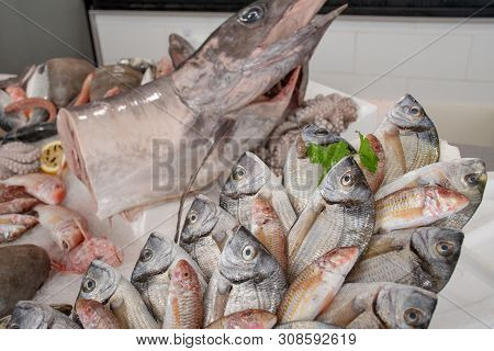 Various Fresh Seafood And Fish Displayed On The Table For Sale In A Fish Market In Bari, Italy