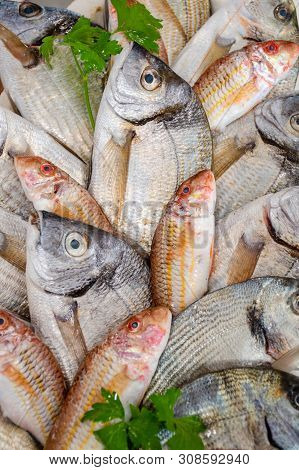 Various Fresh Seafood And Fish Displayed On The Table For Sale In A Fish Market In Bari, Italy