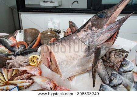 Various Fresh Seafood And Fish Displayed On The Table For Sale In A Fish Market In Bari, Italy