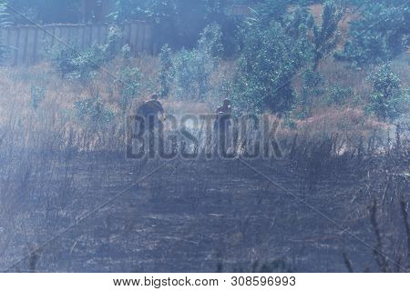 Strong Smoke In Steppe. Forest And Steppe Fires Destroy Fields And Steppes During Severe Droughts. F