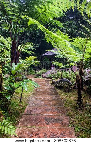 Garden Near Siriphum Waterfall In Northern Thailand