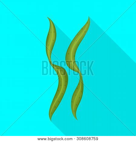 Vector Design Of Algae And Seafood Icon. Set Of Algae And Ocean Stock Vector Illustration.