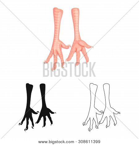 Isolated Object Of Paws And Chicken Sign. Collection Of Paws And Leg Vector Icon For Stock.