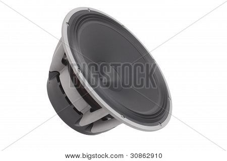 Speaker / Sub-woofer
