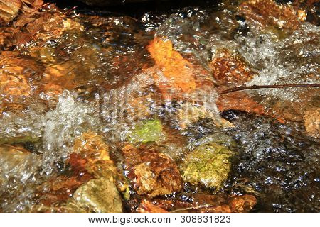 The Clear Water Flows Through The Gravel Are Smooth And Very Cool. Originated From Natural Waterfall