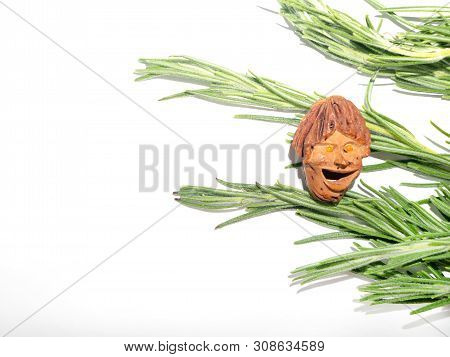 The smiling little man, talisman graven of peach pit, in front of fresh  rosemary sprigs on white background. Food art, macro, copy space