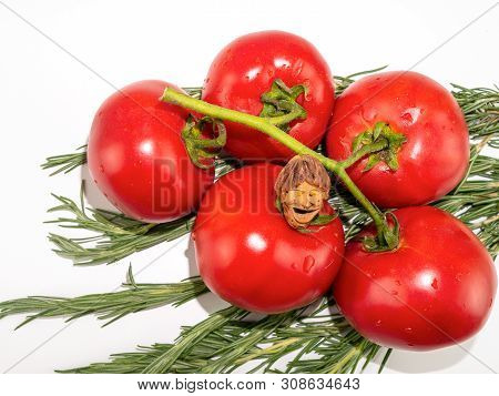 The Smiling Little Man, Talisman Graven Of Peach Pit, Happy For A Good Harvest: Tomatoes And Rosemar