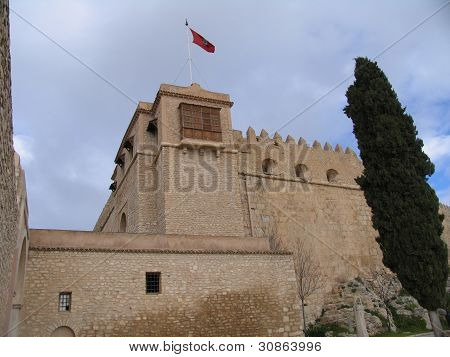 Tunisan fort and tall conifer